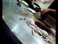 Teppanyaki Dalian Kerren  Hotel