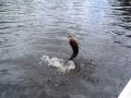 Bassmaster loses a lunker!