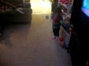 Basketball Hoop Basketball Hoop