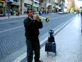 Paracetamolic Gipsy Trompet Player