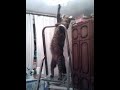 Кот-электрик