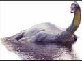 is this monster real? Loch Ness Monster