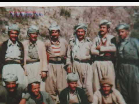 peshmarga shahidan puk