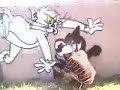 primer graffitti legal
