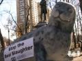 Miss Newfoundland support the seal hunt.