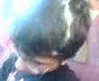videos de o liolios koimate 2