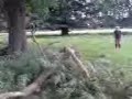MehNdDerekJumpingInDeerPark