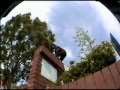newest skate video