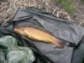 ETRURIA CARP TEAM 2007