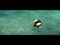 20091101_011657.avi