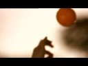 Cricket Australia TVC from Leo Burnett