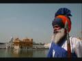 Rabbi shergill - pagri