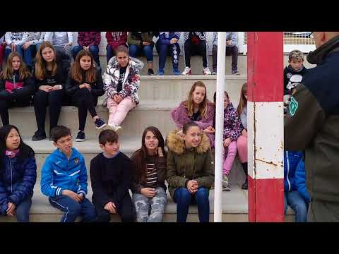 Imatge de previsualització de YouTube