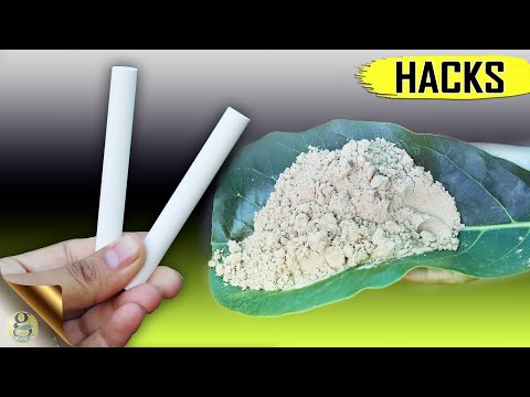 video-linktoworks-2 TOP SECRET GARDENING HACKS FOR CALCIUM 6 Easy...