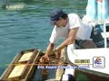 Παξοί απο την εκπομπή {μένουμε Ελλάδα}ΕΤ1.my paxos.paxoi.paxi.lakka loggos.