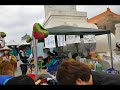 Wild Strawberry Update.wmv