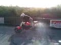 ribiero bourbourg stunt ribiero bourbourg stunt