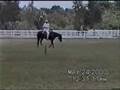 videos de Federal Issue 