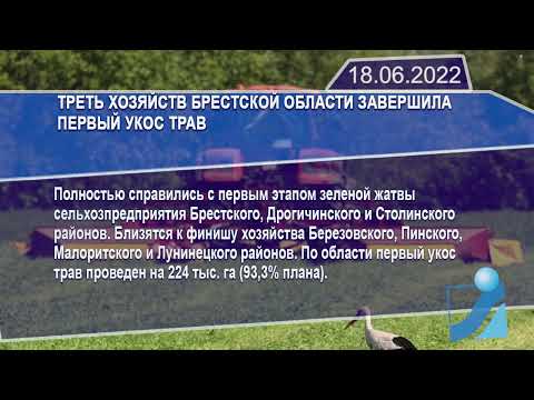 Новостная лента Телеканала Интекс 18.06.22.