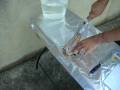 videos de Rooster cookin
