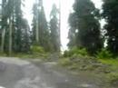 Enjoy the Varied Mountain Scenery Nathia Gali Muree