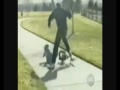 Funny Compilation