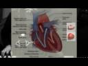 It's Time To Let Our Hearts Speak by Marcel Boere - Hires - Pictures taken from the Internet Thank You All.