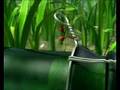3d animation short Bugs' Race