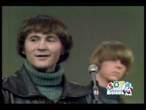 Mr. Tambourine Man
