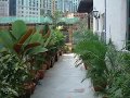 Taragon Puteri YKS, City center