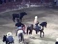 Huitzuco. Toros Julio 2008 part 3