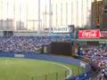 Tokyo Yakult Swallows