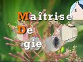 bande demo de films réalisés