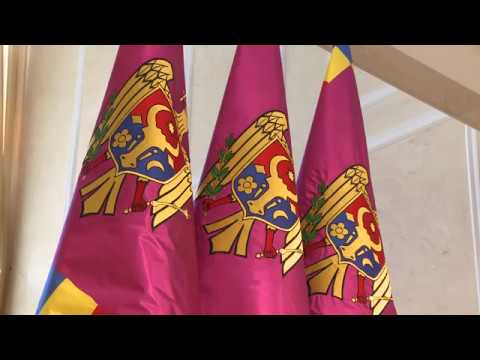 Президент Республики Молдова встретился с делегацией высокопоставленных представителей Австрии