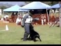 Kaz Arkan Kazimir Von Rubenhof French Ring Sport Doberman