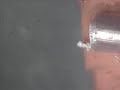 Lithium Dendrite Growth