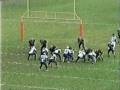 bernier highlight no21