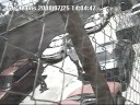 robo en sierra