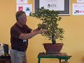 bonsai master walter pall in croatia, kastela, vitturi castle, 2007. - demonstration on oriental hornbeam (carpinus orientalis) - part 2/4