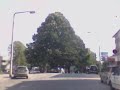 Passar em Vila Real