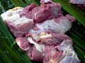 daging gedik
