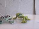 frog or monkey or wathever..