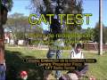 CAT TEST