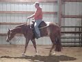 Lil Miss Impulse Bubbles 2005 AQHA APHA Mare.wmv