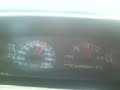 pajero