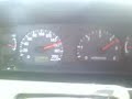 pajero