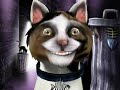 Cat talks about drugs Cat talks about drugs