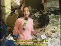 projeto vira lata   reportagem traduzida pela bentivi