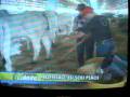 videos de Nelore Anjo