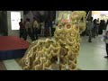 Lion Act